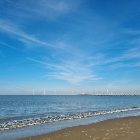 Ruime Vrijstaande Vakantiewoning Aan Veerse Meer, 6 Persoons Wolphaartsdijk 外观 照片