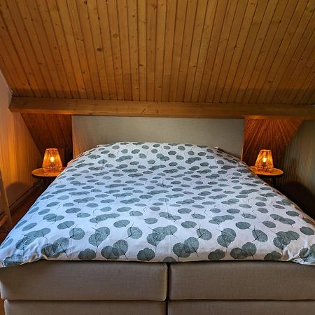Ruime Vrijstaande Vakantiewoning Aan Veerse Meer, 6 Persoons Wolphaartsdijk 外观 照片