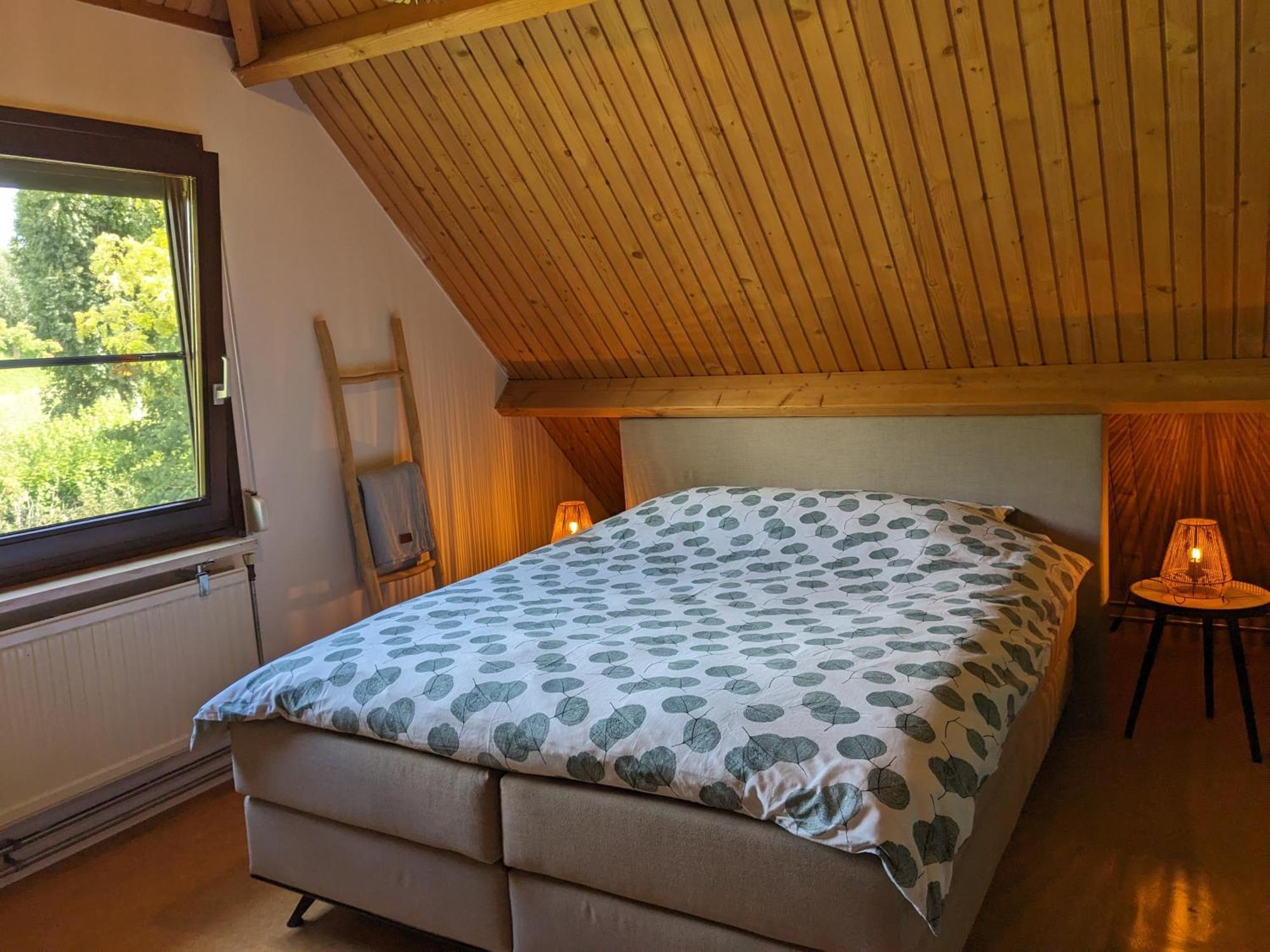 Ruime Vrijstaande Vakantiewoning Aan Veerse Meer, 6 Persoons Wolphaartsdijk 外观 照片